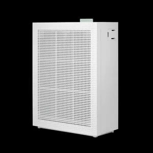 Coway Airmega 150 AP-1019C